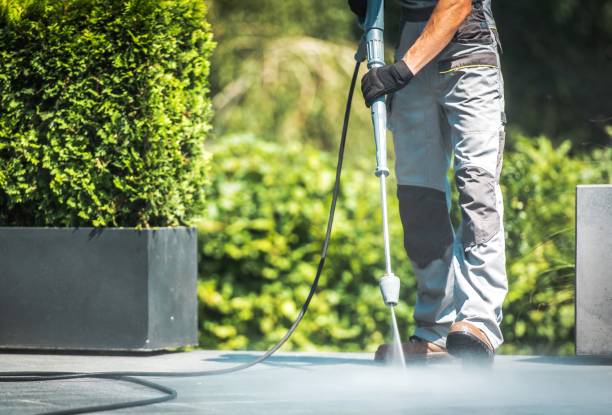 Best Pre-Holiday Cleaning  in Plymouth, WI